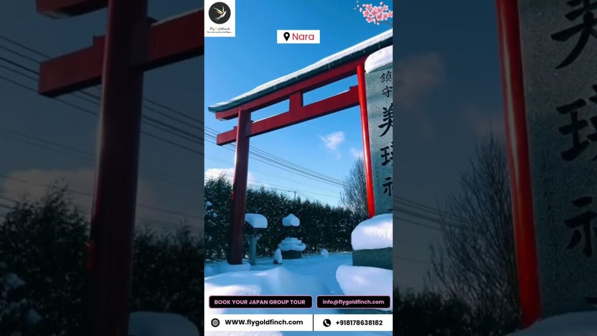 Japan Destination Travel - Hot Upcoming Travel Trend for 2025 | Fly Goldfinch Travel