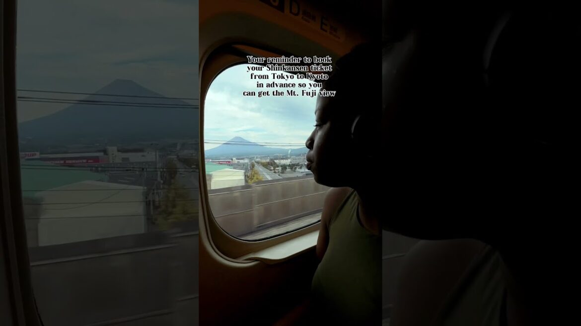Mt. fuji train view and choose seat E 😊 #mtfuji #shinkansen #japan #shortstravel #travelshorts