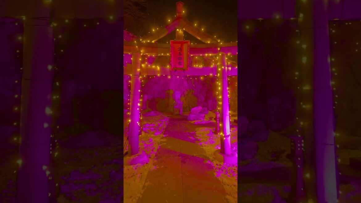 松島離宮イルミネーション #illumination #nightlight #japantravel