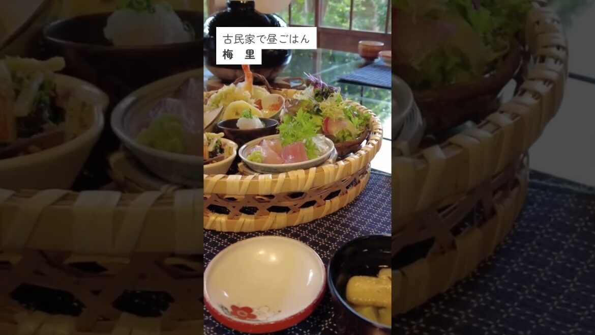 南薩摩エリア|KAGOSHIMA TRIP #shorts 南薩摩エリア|KAGOSHIMA TRIP #shorts