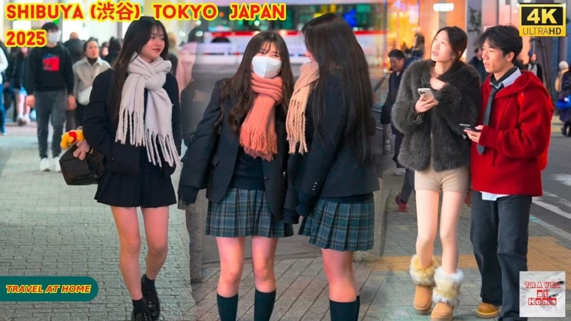 4k hdr Japan travel 2025 | Walk in Shibuya (渋谷) Tokyo Japan |  Relaxing Natural City ambience