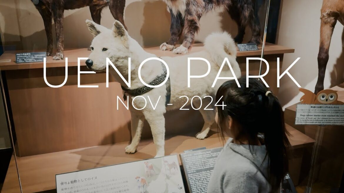 Japan trip 2024 - Ueno National Museum of Nature and Science - Ueno Zoo