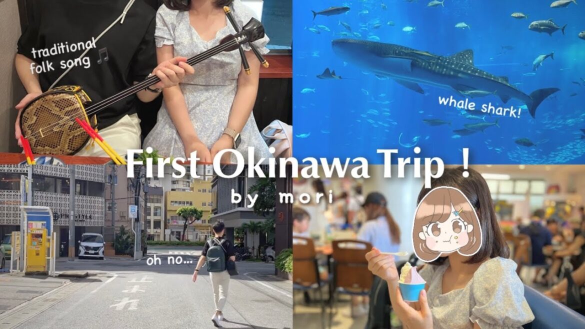 Okinawa Vlog 🇯🇵 drama on the way to Churaumi Aquarium & traditional folksong show in “Koko” Okinawa Vlog 🇯🇵 drama on the way to Churaumi Aquarium & traditional folksong show in “Koko”