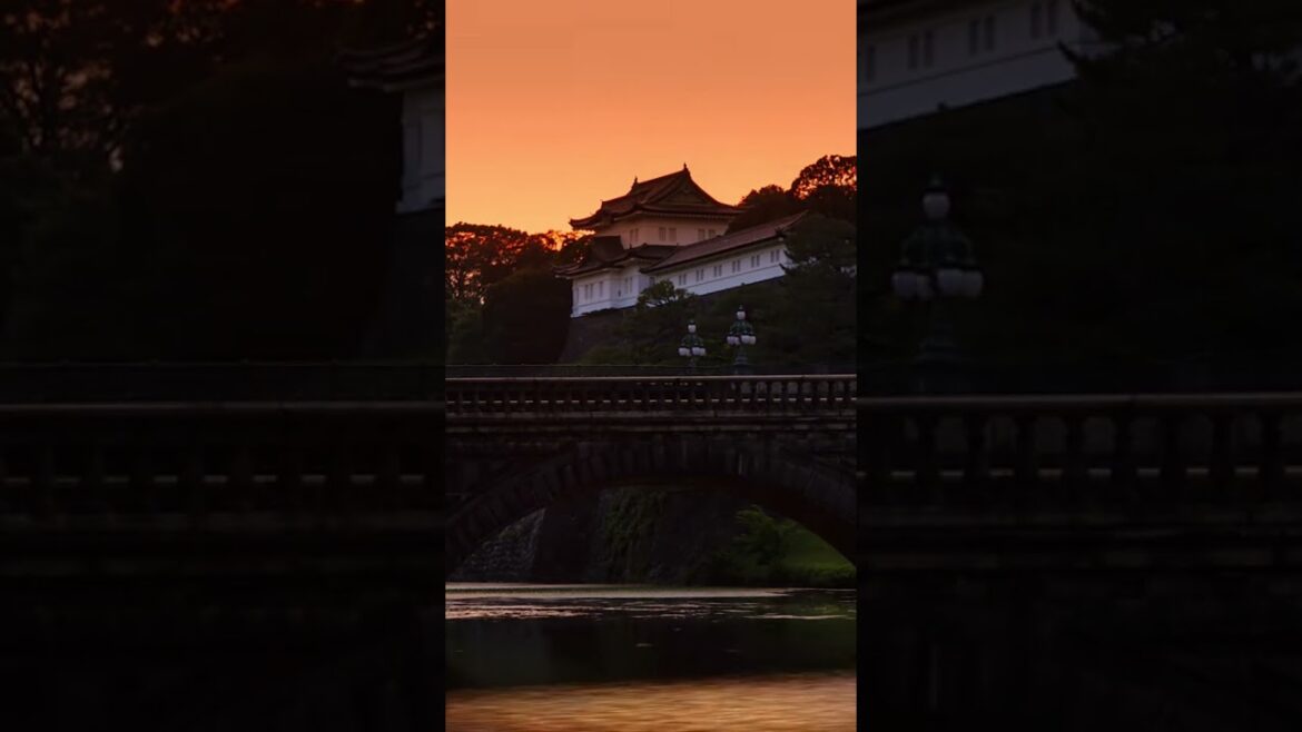 Exploring the Peaceful Heart of Tokyo: The Imperial Palace