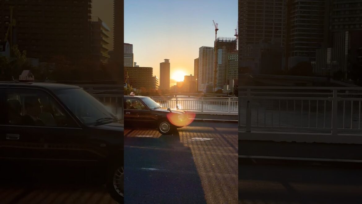 Taminobashi Bridge 中之島水上觀光船 大阪周遊卷