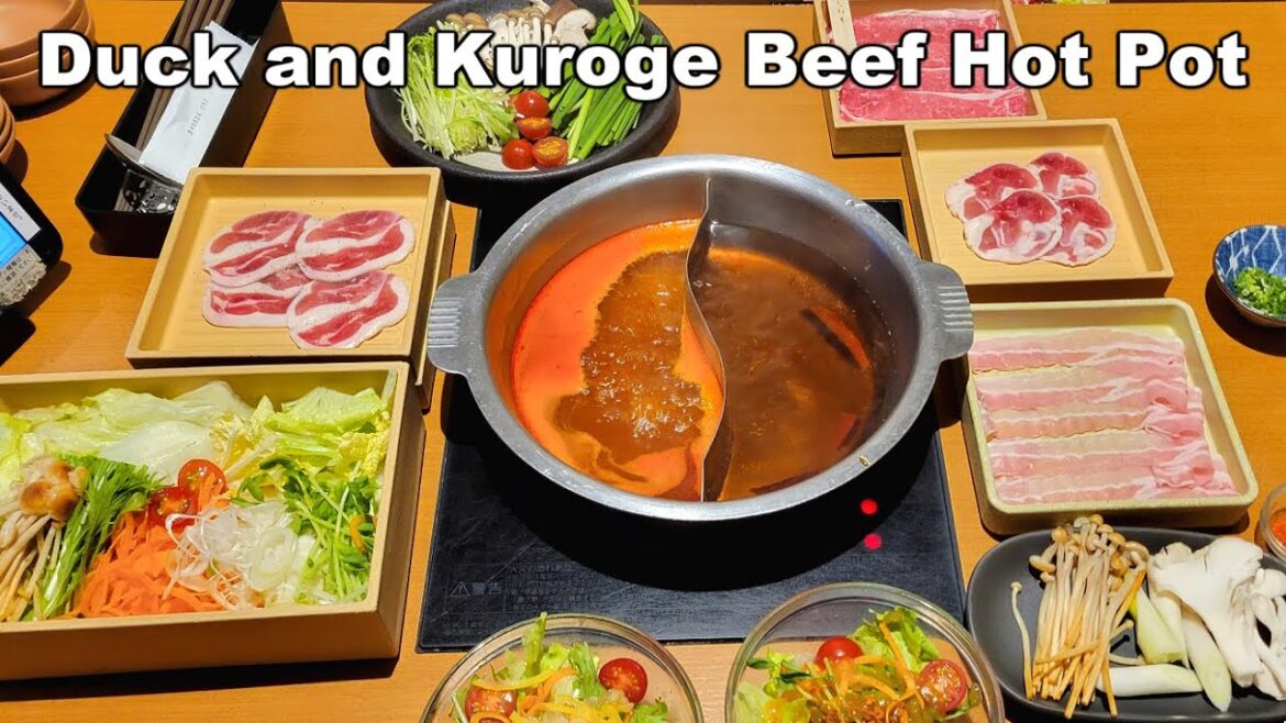 Duck and Kuroge Beef Shabu-Shabu, Dogo District and More Udon in Matsuyama
