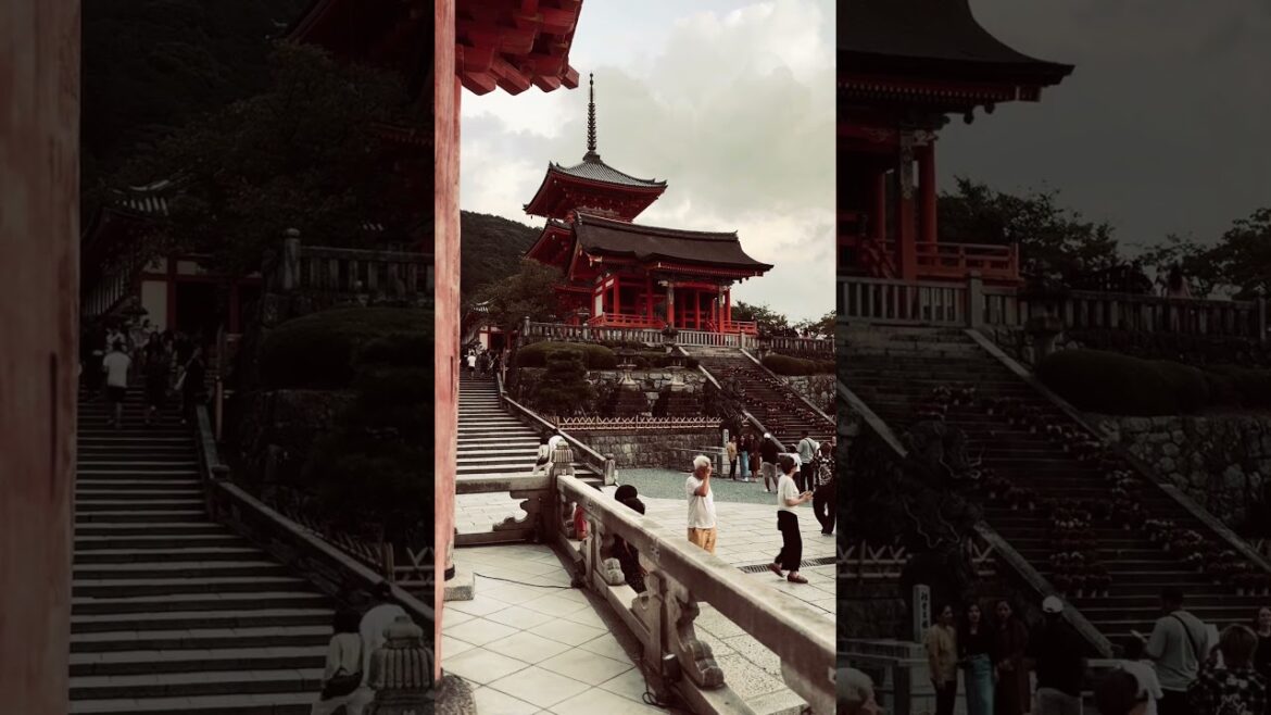 Tradition + Beauty = Kyoto #youtube #youtubeearning #shorts #youtubeshorts #travel #japan #kyoto