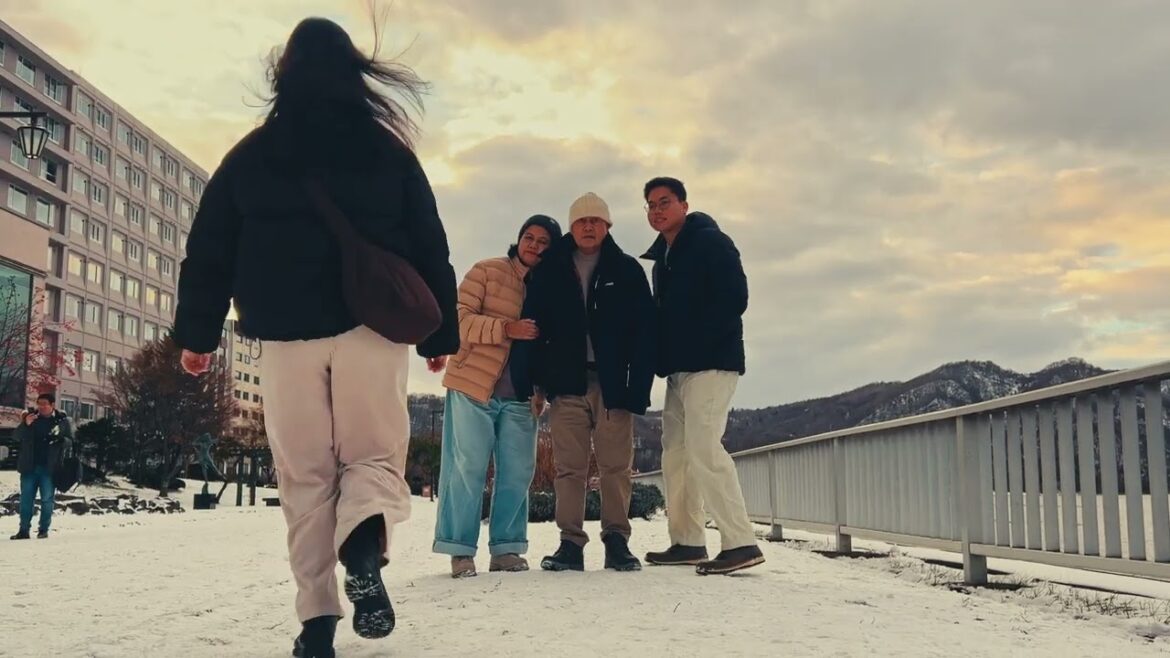 A trip to Japan - 2024