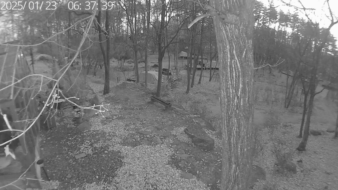 【安曇野】キャンプ場&グランピング施設　長野県　信州　初心者にもおすすめ