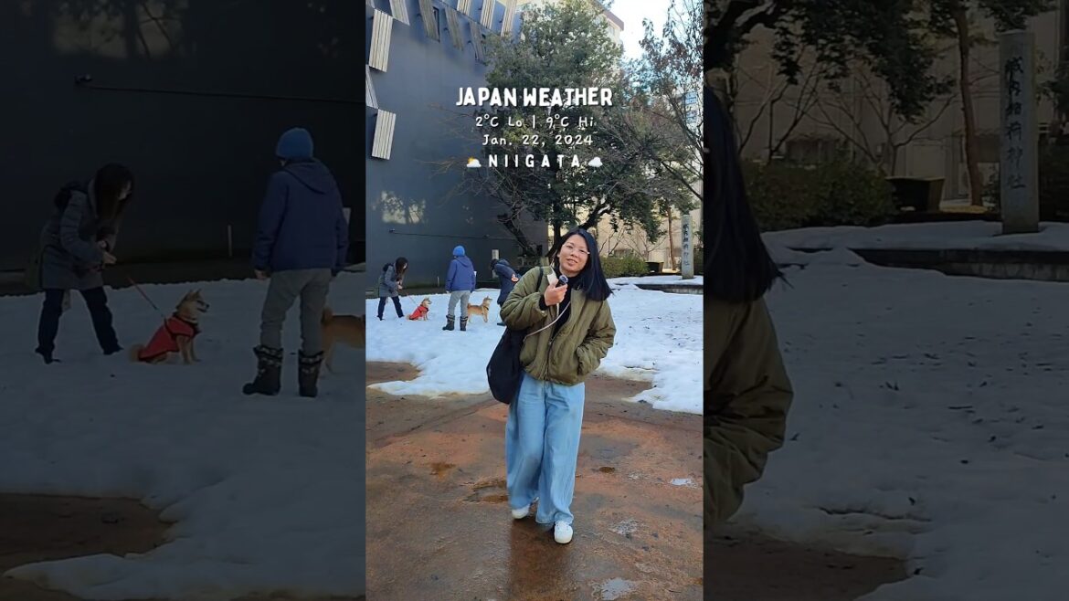Japan weather update today in Niigata #japantravel #traveljapan #japanupdate #niigata #niigatajapan