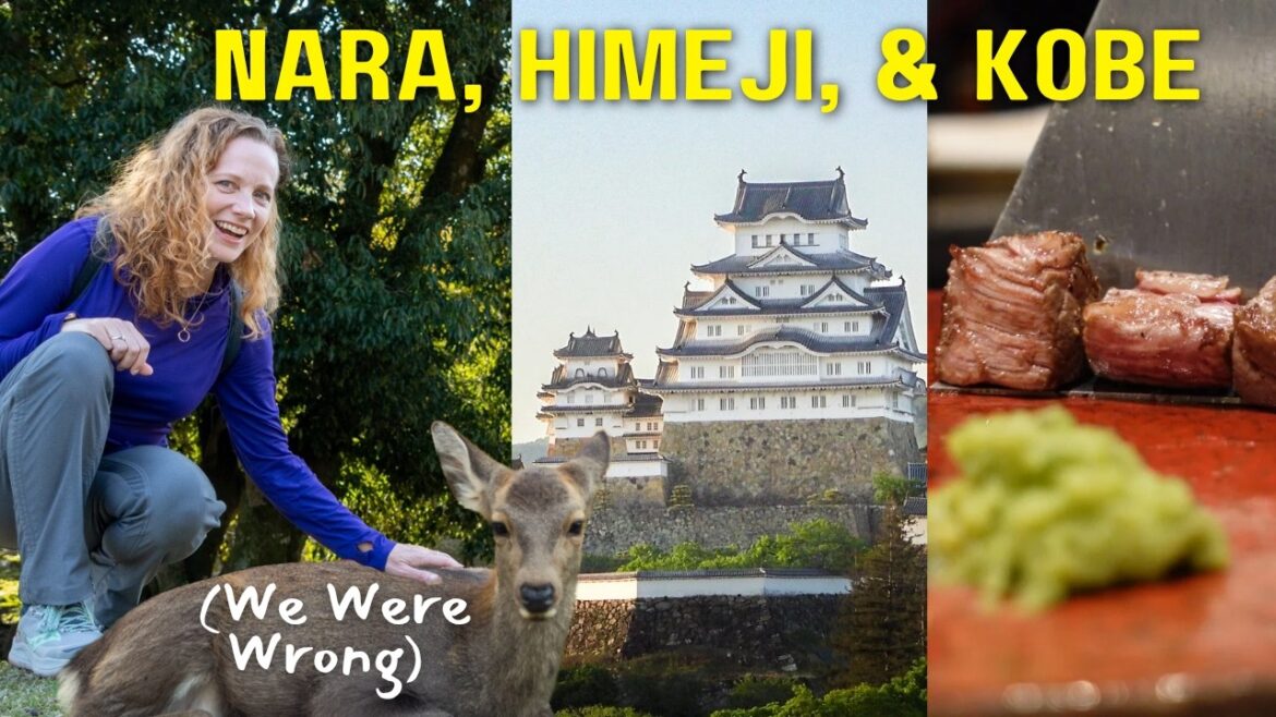 3 AMAZING Day Trips from Osaka & Kyoto 3 AMAZING Day Trips from Osaka & Kyoto