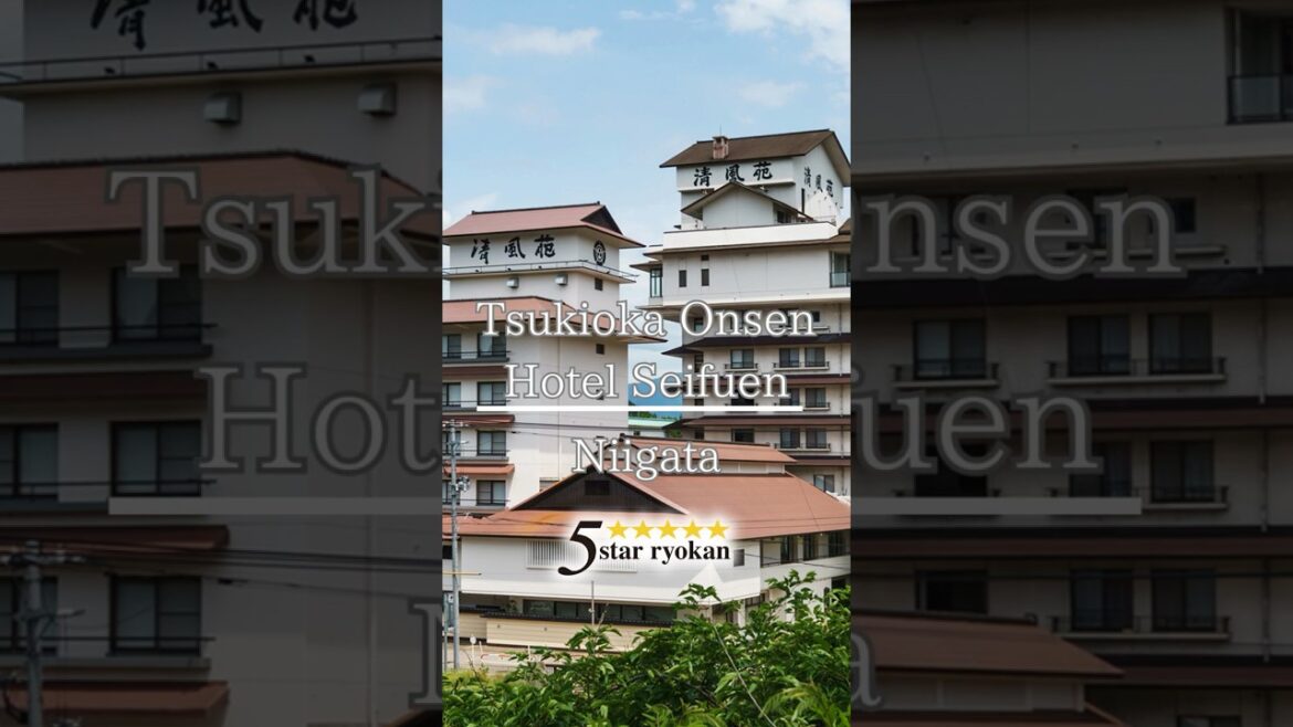 Tsukioka Onsen｜Hotel Seifuen, Niigata