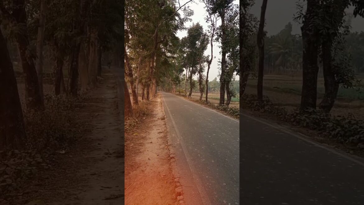 Tumi Dio nago basor gharer batti nibhaiya #pritamroysong