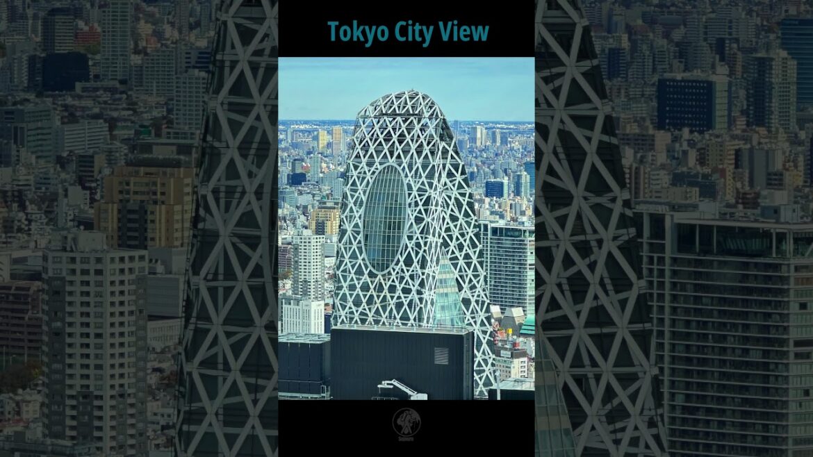 Tokyo City View from Metropolitan Observatory  #japan #travel #tokyo #metropolitan