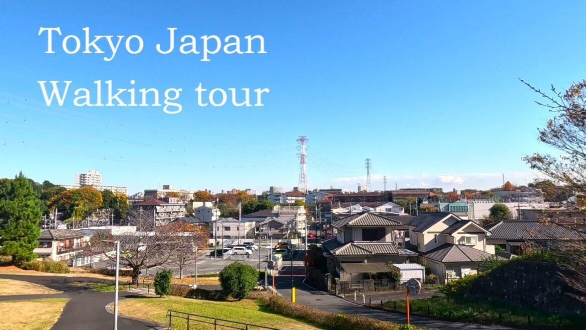 Japan Walking tour in Kaitori Tama City Tokyo 4k Japan Walking tour in Kaitori Tama City Tokyo 4k