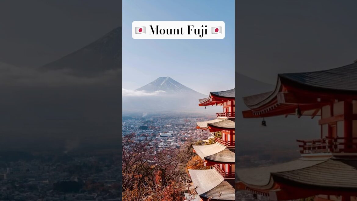 Expectations and reality of Mt. Fuji 🇯🇵 #bikepacking #japan