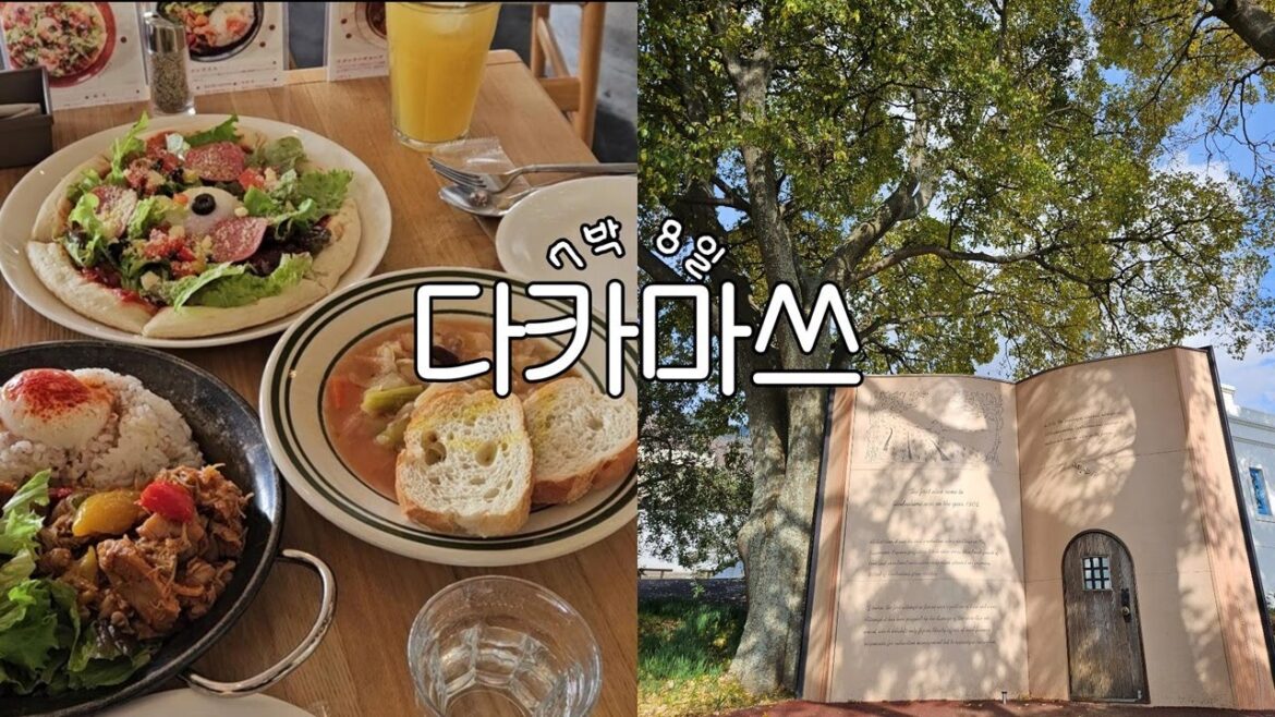 일본 브이로그 ✈ 다카마쓰에서 배타고 쇼도시마섬 여행(올리브공원, 엔젤로드), 쇼도시마 식당 추천, 배에서 먹는 우동 맛은? ,일본 마트 장보기