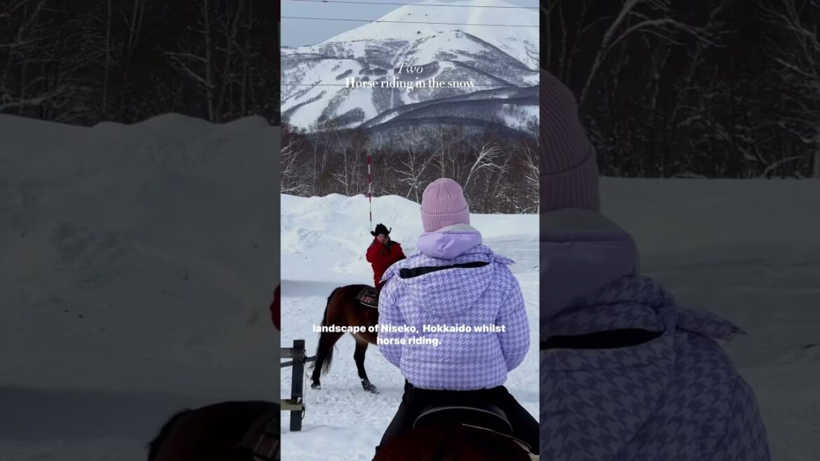 5 Amazing Things to Do In Japan Winter