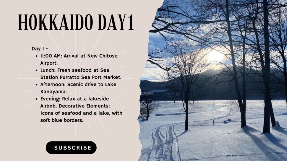 Vlog Hokkaido: วันแรก (11 ม.ค.) - เดินทางไป Sapporo และ Furano