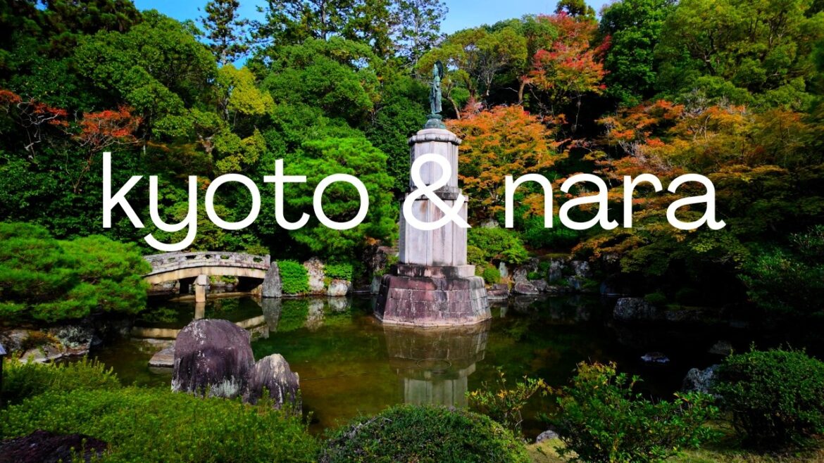 JAPAN travel vlog ep.5: Exploring KYOTO & NARA for the First Time- Japanese Gardens, Deer and more! JAPAN travel vlog ep.5: Exploring KYOTO & NARA for the First Time- Japanese Gardens, Deer and more!