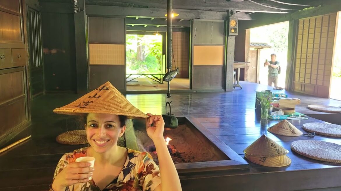 3 marvellous Weeks in Japan 4k