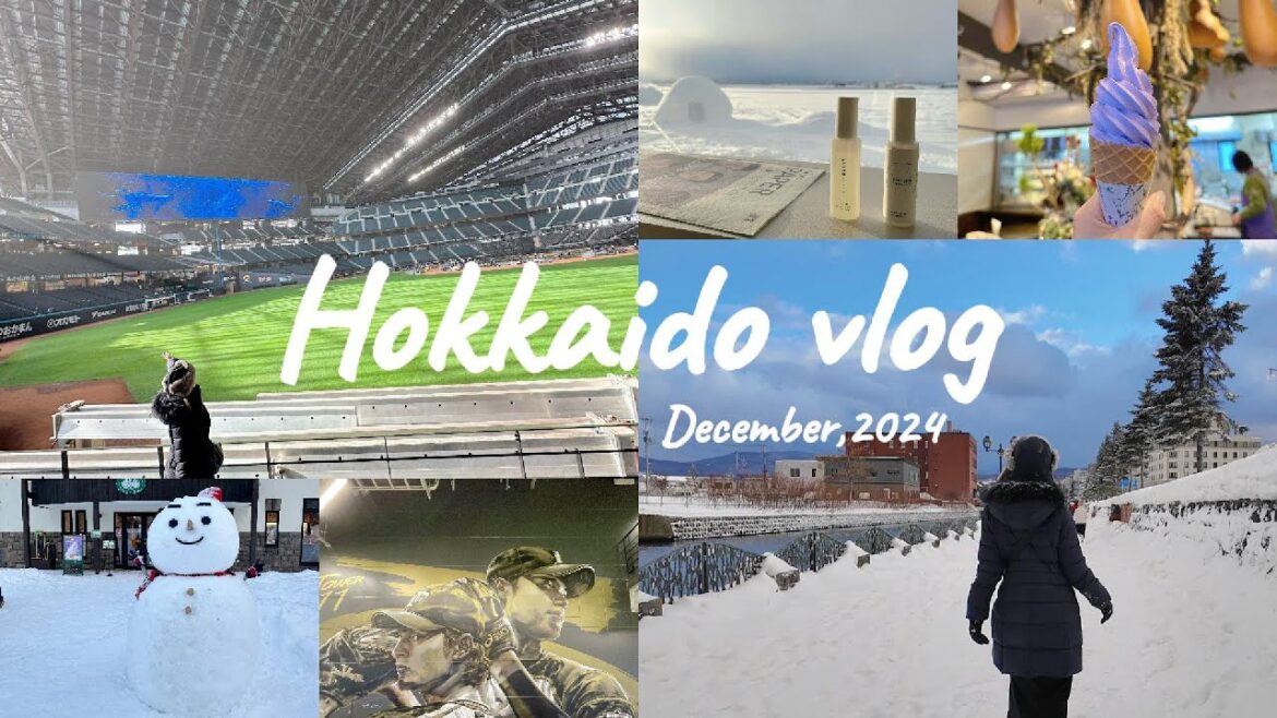 北海道vlog｜真冬の北海道⛄️❄️レンタカー無しで楽しむ3泊4日の旅✈️〜札幌・小樽・美瑛・富良野〜