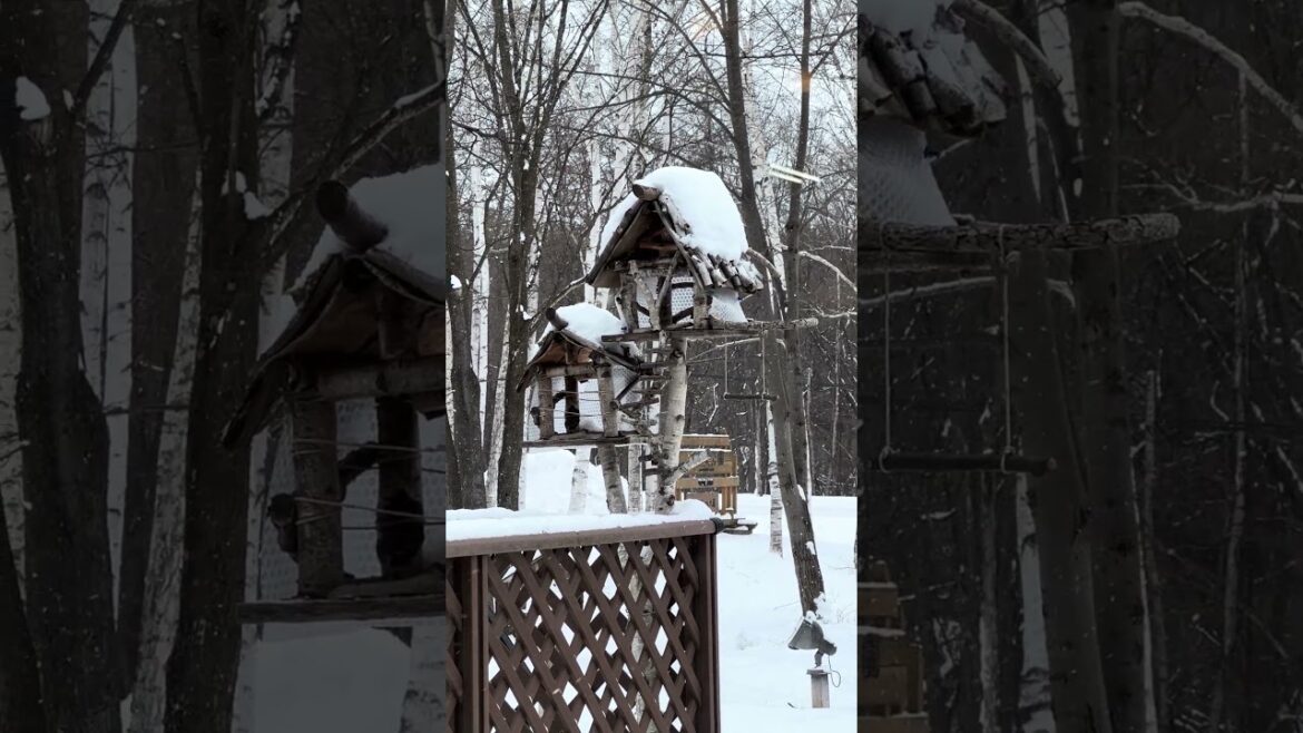 View From Furano Cheese factory Restaurant