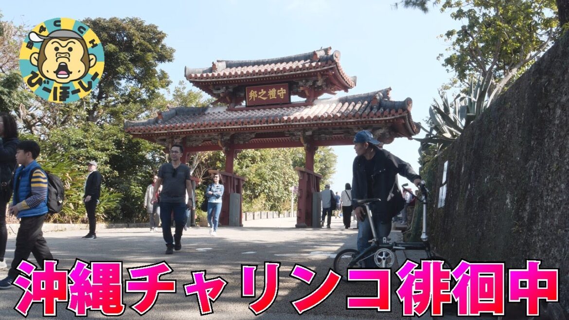 ツールド沖縄超 牛乳と食パンの高さでDNF寸前な地元スーパー巡りのサイクリングレース? 那覇 okinawa サンエー かねひで 飛行機輪行 ツールド沖縄超 牛乳と食パンの高さでDNF寸前な地元スーパー巡りのサイクリングレース? 那覇 okinawa サンエー かねひで 飛行機輪行