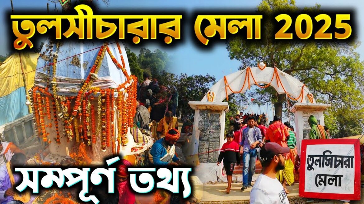 Tulsi charar mela 2025 । Tulsi chara mela। তুলসী চারার মেলা