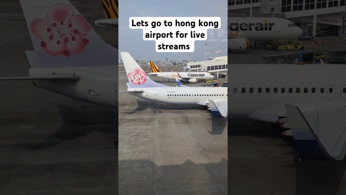 Hong Kong live stream trip