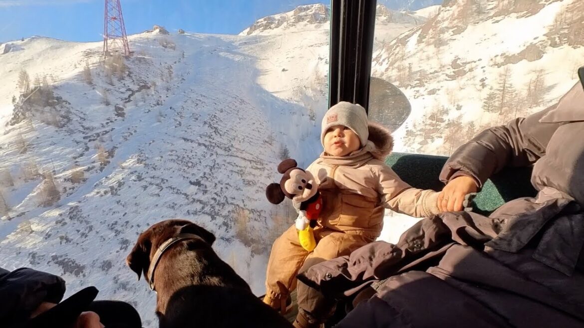 First Gondola Ride with Baby, Sissy and Dog to 6,561 Feet! First Gondola Ride with Baby, Sissy and Dog to 6,561 Feet!