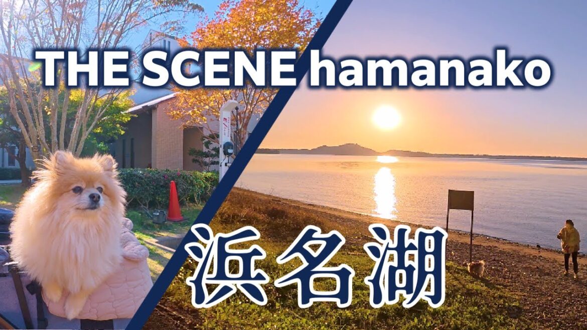 【愛犬と泊まるならココ!】浜名湖の絶景と最高のホスピタリティ!THE SCENE hamanakoが最高すぎた件 【愛犬と泊まるならココ!】浜名湖の絶景と最高のホスピタリティ!THE SCENE hamanakoが最高すぎた件