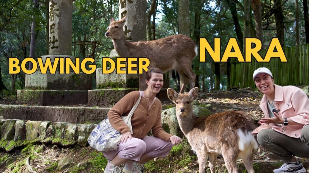 Ultimate Day Trip from Osaka to Nara, Japan 🇯🇵 The City Where Deer, Temples, and People Coexist