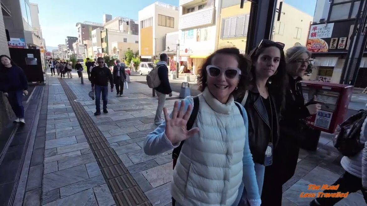 2024 11 09 Trip to Far East Japan, Nara, (part 6)