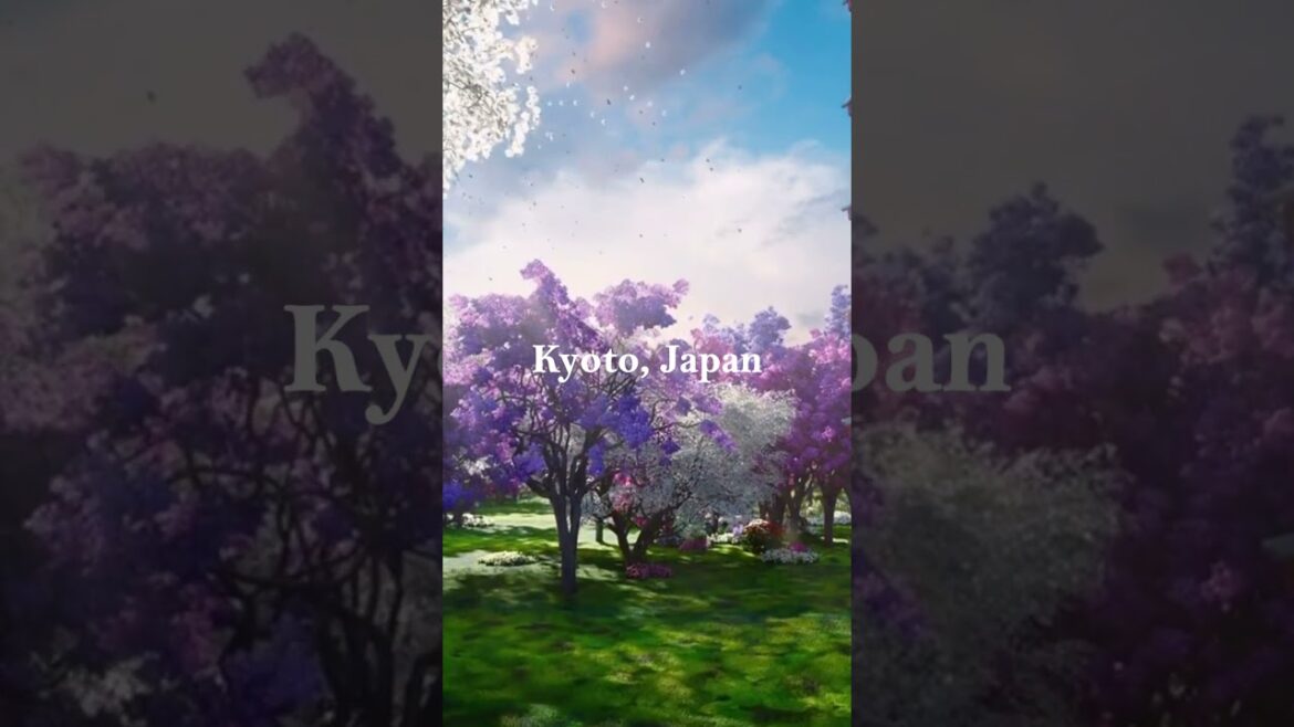 Kyoto’s Purple Paradise: Japan’s Most BREATHTAKING Spring Destination! Kyoto's Purple Paradise: Japan's Most BREATHTAKING Spring Destination!