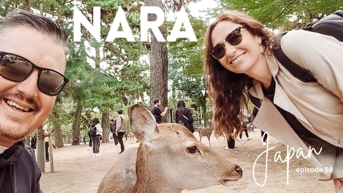 Nara Japan | Day trip from Kyoto