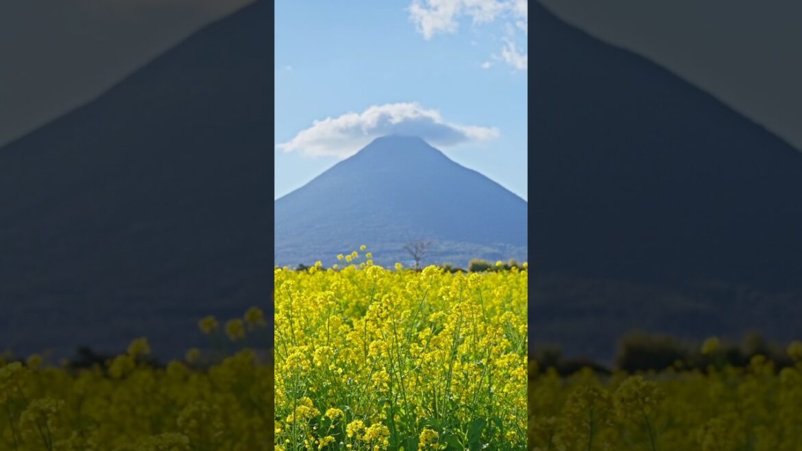 Japan's Southernmost JR Station Has An Amazing View! Nishi Oyama Station Ibusuki, Japan