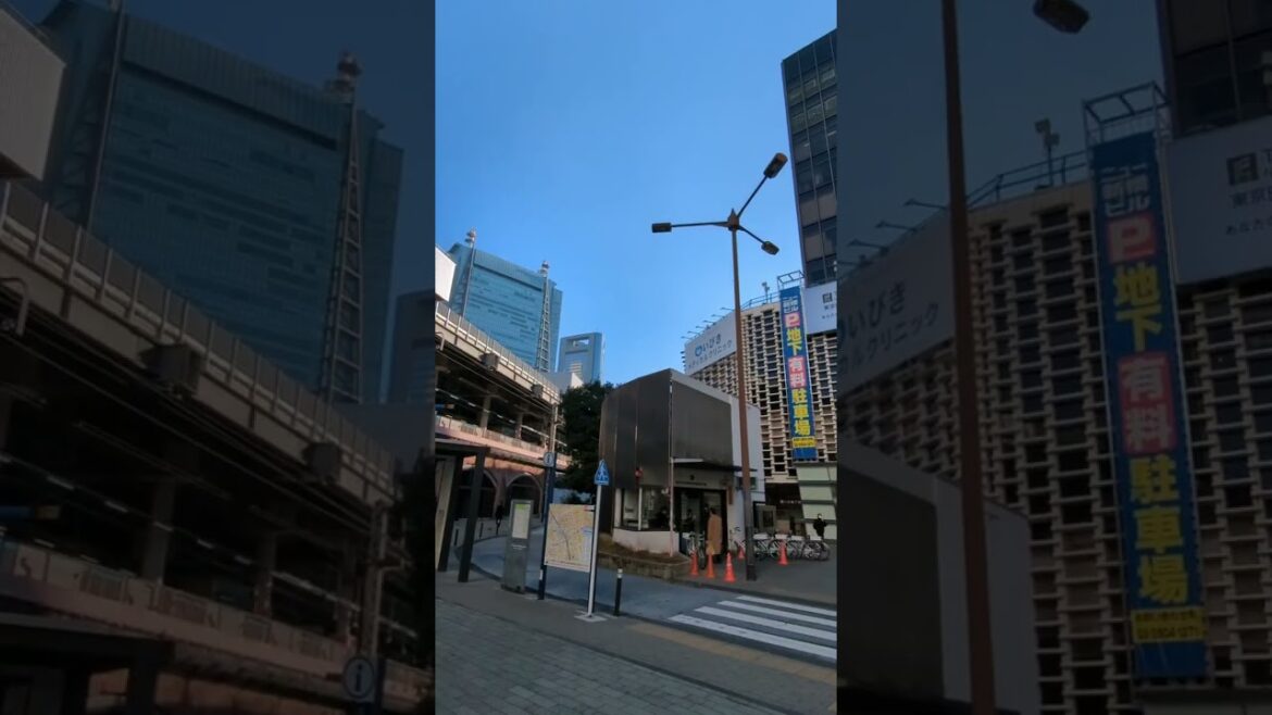 Shimbashi Station - 4K Walk