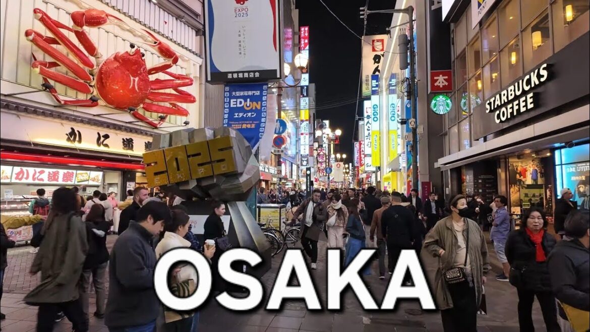 Experience Dotonbori & Juhanbachi Takoyaki at 10X Speed Experience Dotonbori & Juhanbachi Takoyaki at 10X Speed