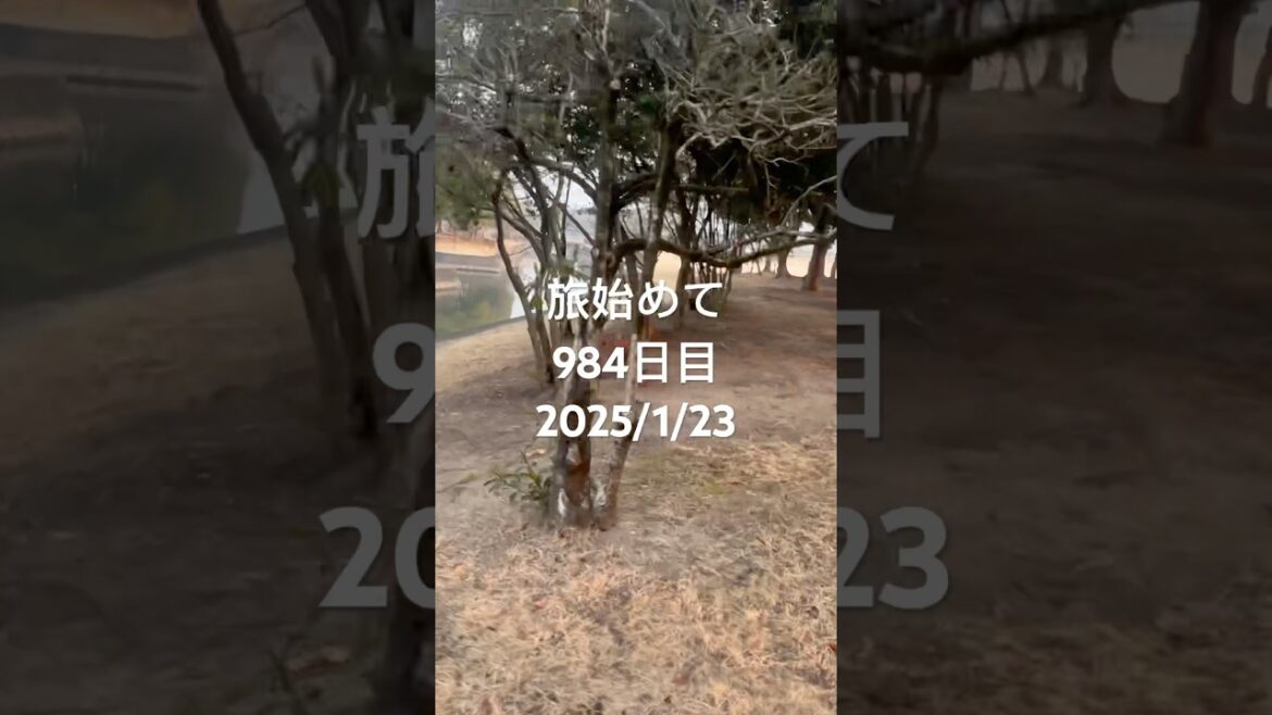 【日本一周984日目】【岡山県倉敷市】#旅#日本一周#リヤカーで日本一周#岡山県#倉敷市