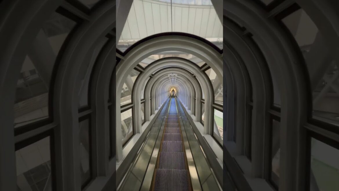 梅田スカイビル 空中庭園1 #日本 #大阪 #旅行 #関西 #梅田 #japantravel #shortvideo #shorts #fall #kyoto #京都 #일본 #일본여행 #2025