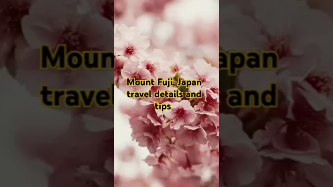 Mount Fuji japan travel details #travel#plan#trip#japan #mountfujiview #budgetingtip #aasa Koda song