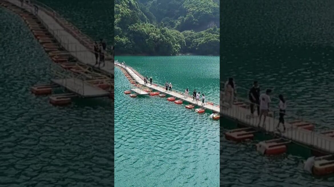 Floating bridge #traveljapan #floatingbridge #tokyosightseeing Floating bridge #traveljapan #floatingbridge #tokyosightseeing