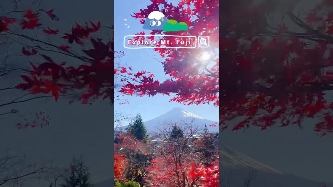 DAY TRIP TO FUJI SAN #mountfuji #fujisan #solotrip #japantravel #mountfujiview