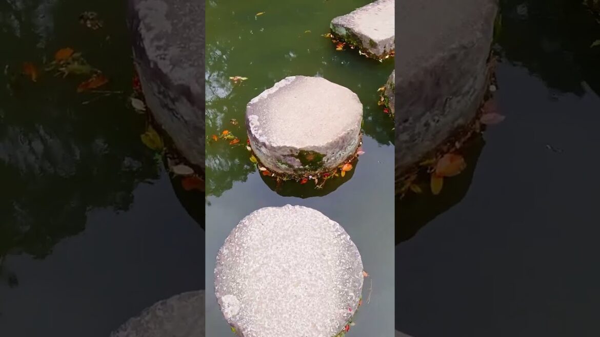 Kyoto’s BEST KEPT SECRETS in 30 Seconds! Top Attractions You Can’t Miss!🌸✨ Kyoto's BEST KEPT SECRETS in 30 Seconds! Top Attractions You Can't Miss!🌸✨