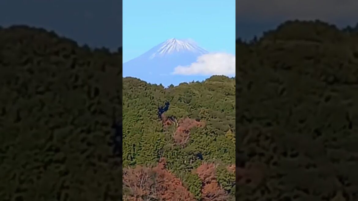 Mt FUJI from SHIZUOKA - JAPAN |Travel & Events | BlissfulMomentsWithUs | #Viral | #Short #Trending