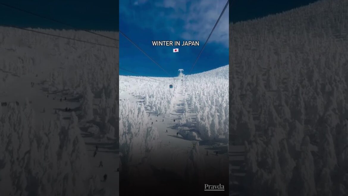 Zao Onsen v Japonsku vyzerá ako miesto z inej dimenzie! Zao Onsen v Japonsku vyzerá ako miesto z inej dimenzie!
