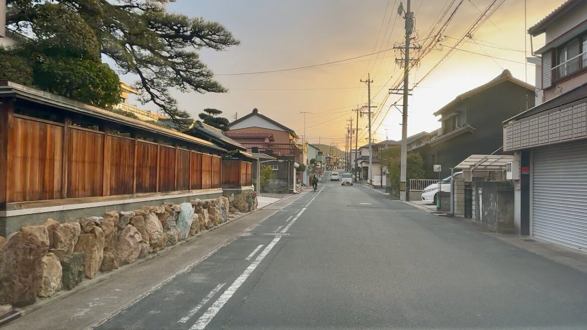 Friday, January 10, 2025 | Driving Countryside Road | Gamagori-Toyokawa Route Aichi Prefecture