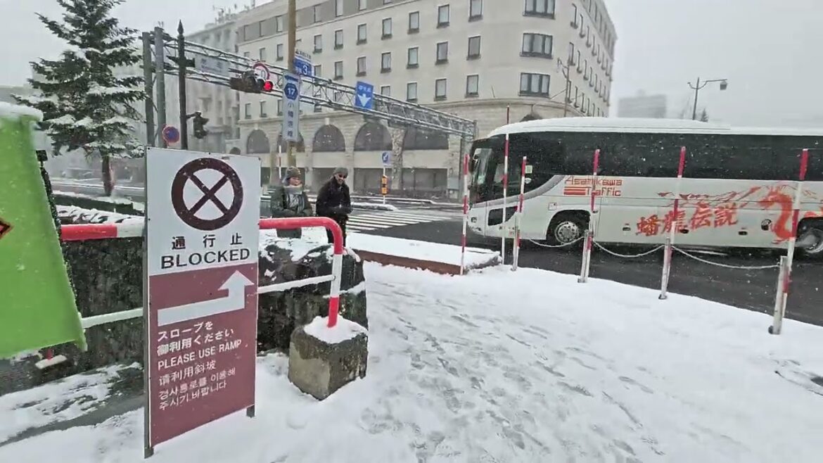 Japan Winter OTARU Snowy Day Walking Tour - HOKKAIDO JAPAN
