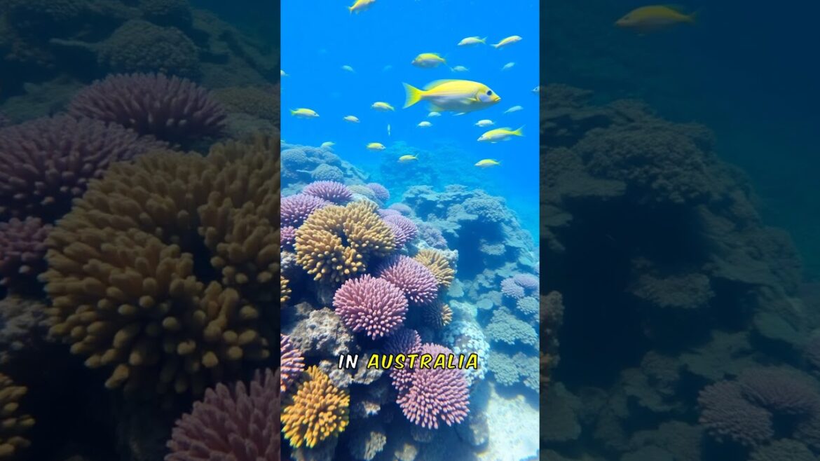 Top 10 Places to Vist in 2025